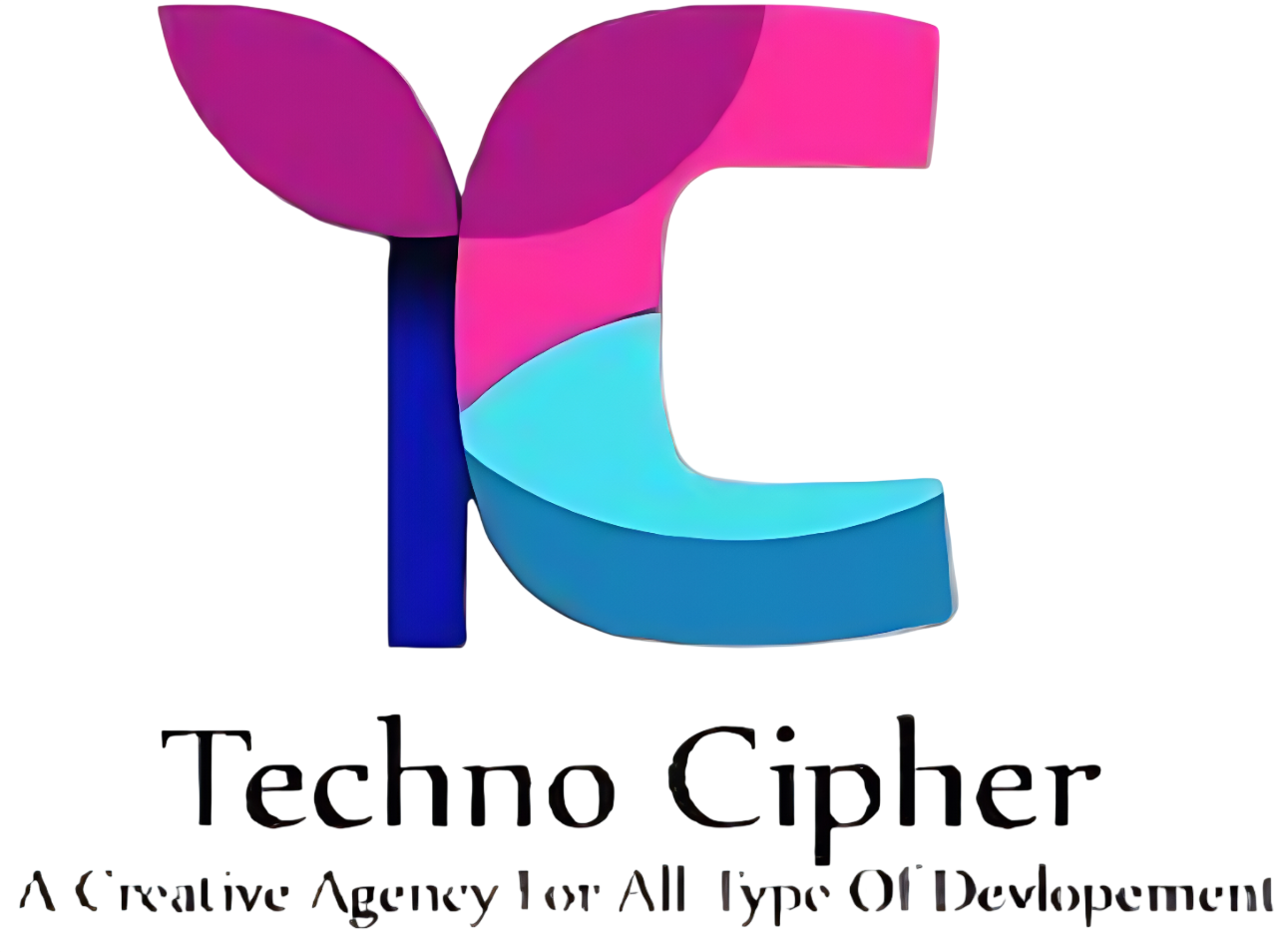 Techno Cipher | Custom Software & AI Development Company